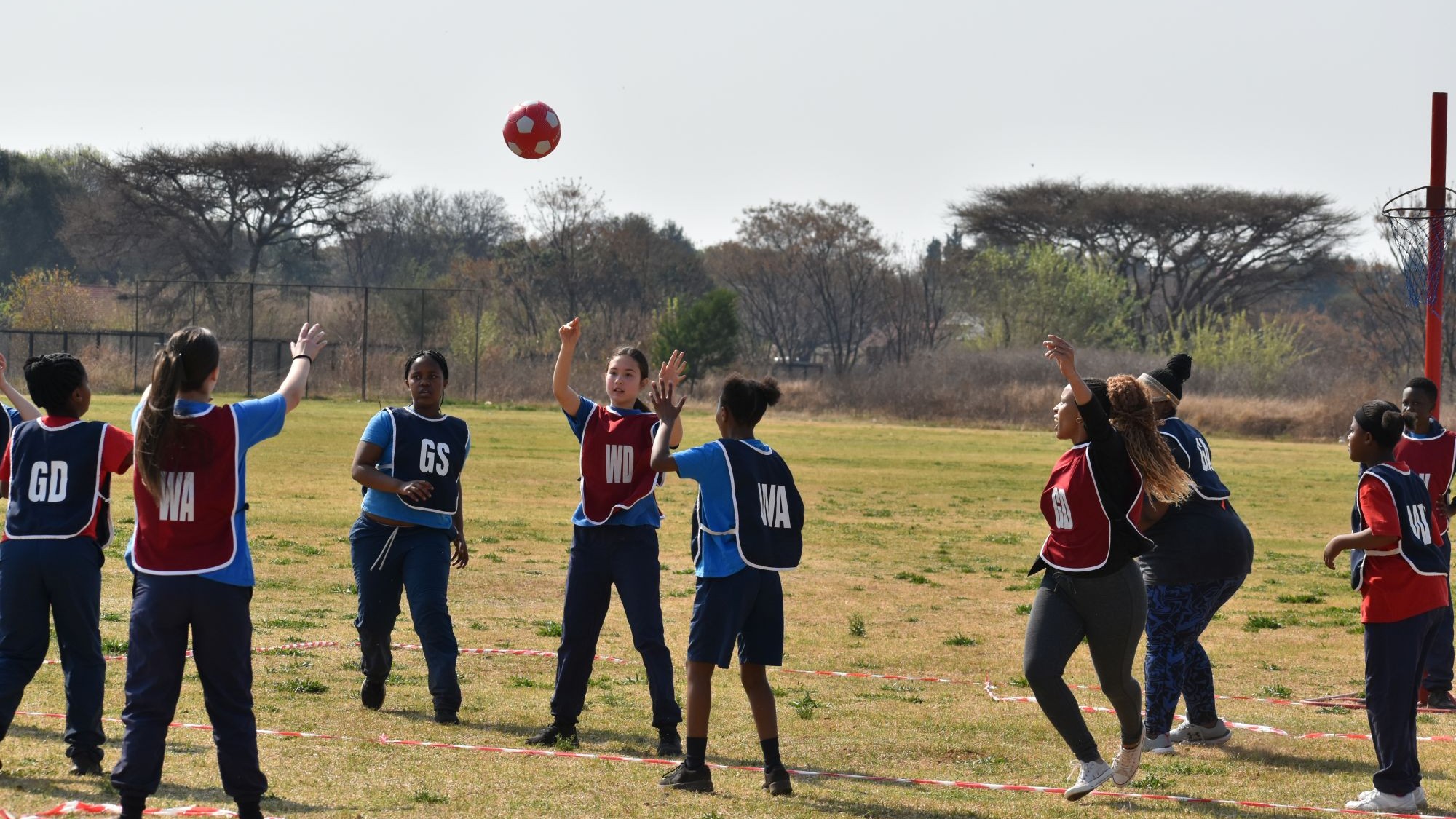 netball1